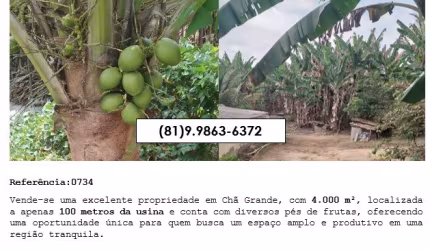 Vende-se excelente propriedade em Chã Grande