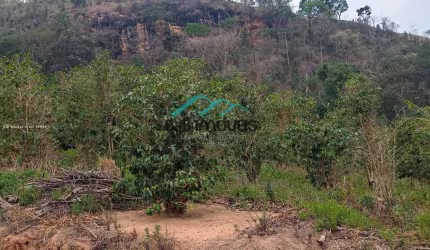 Sítio à venda no bairro Zona Rural em Monte Alegre do Sul/SP