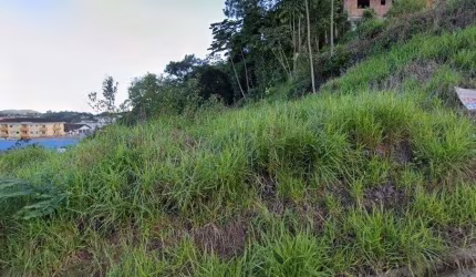 TERRENO no FLORESTA com 0 quartos para VENDA, 712 m²