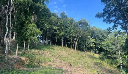 TERRENO no AMÉRICA com 0 quartos para VENDA, 1666 m²
