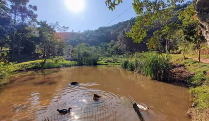 Sítio / Chácara para Venda em Miguel Pereira, Governador Portela, 3 dormitórios, 1 suíte, 1 banheiro, 3 vagas