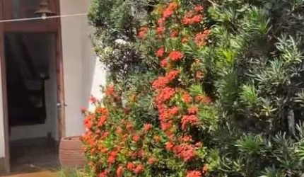 Casa com 3 quartos para alugar em Belo Horizonte