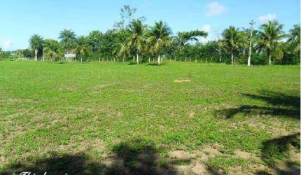 Terreno à venda, 110000 m² por R$ 15.000.000,00 - Guabiraba - Recife/PE