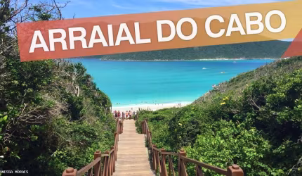 Figueira (Parque das Gaivotas)
