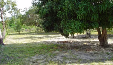 Área com 4.000 m² a venda em Pium