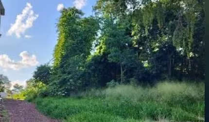 EXCELENTE ÁREA NO CENTRO DE CASCAVEL COM 7.502M²