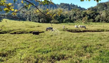 Chácara | Garibaldi | 36.000m²
