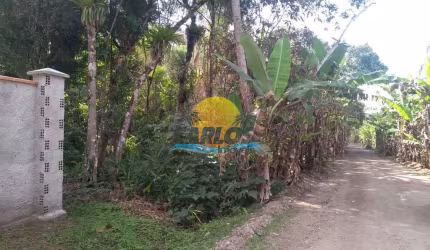 Terreno à venda na Pr 407 Km 12, Jardim do Bosque, Paranaguá por R$ 300.000