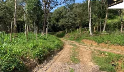 Sítio / Chácara para Venda no bairro PORTO CIMA em ANTONINA, Sem Mobília, 100000 m² de área total, 100000 m² privativos,