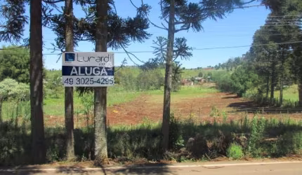 Terreno comercial para alugar na Rodovia SC-480, SN, Centro (Marechal Bormann), Chapecó por R$ 6.500
