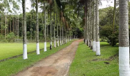 Venda: Sítio - Piedade/SP - R$ 1.450.000,00 - Ref. ST00002