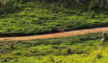 45T-TERRENO RESIDENCIAL EM IGARATÁ - IDEAL PARA CONSTRUÇÃO