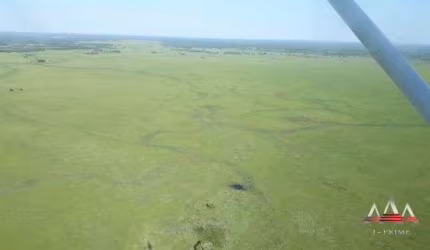 Se surpreenda Fazenda a venda sendo Uma das Maiores do Brasil