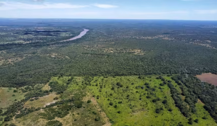Fazenda dupla aptidão, 950 hectares, a 60 km de Cuiabá/MT