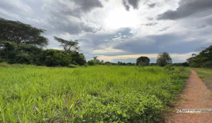 Fazenda 1000 hectares em Mato-Grosso, com aptidão à pecuária