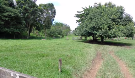 FAZENDA A VENDA À APENAS 18 km DE JANDÁIA Fazenda à Venda, 410966 por R$ 2.547.000 VN24835