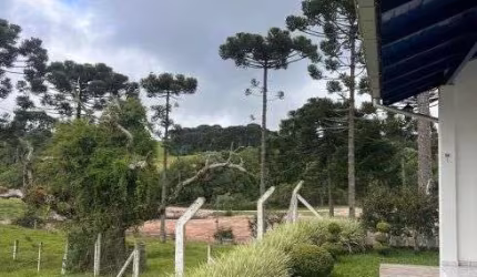 Chácara para venda com 8000 metros quadrados - Casa com 120m² - Campo Alegre - SC