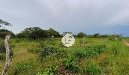 Terreno à venda, 500 m² por R$ 50.000,00 - Prea - Cruz/CE