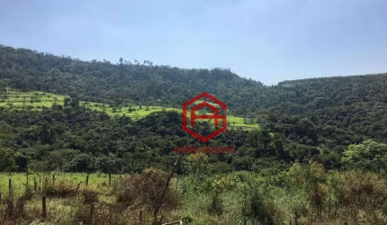Sítio preparado para pecuária leiteira, 726000 m² por R$ 4.200.000 - Zona Rural - Corumbataí/SP