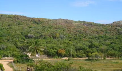 Chácara / sítio com 2 quartos à venda na Conde - Estrada  Barra do Itariri, KM 28, Itariri, Conde, 120 m2 por R$ 395.000
