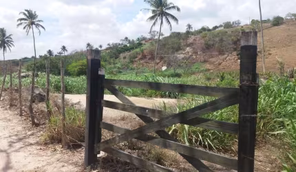 Sítio para Venda em Chã Grande, Zona Rural, 4 dormitórios, 1 suíte, 3 banheiros