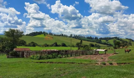 Fazenda para Venda em Serra Negra, Bairro da Serra