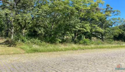 Terreno comercial para alugar na Dr, Emilio Ataliba Finger, 5639, Colina Sorriso, Caxias do Sul por R$ 2.640