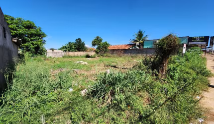 02 Lotes Comerciais Juntos – Avenida Santana