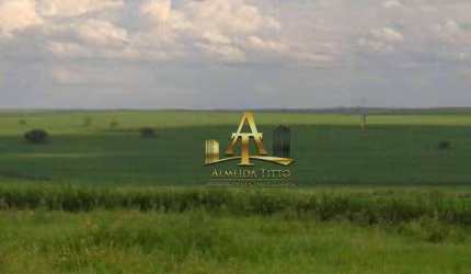 Fazenda para Venda na Região de Presidente Prudente - SP - Confira!!!!