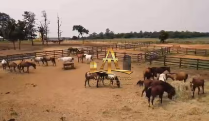 Haras à Venda em Tatuí - São Paulo