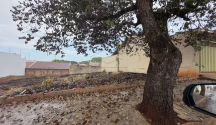 Terreno Padrão em Jaú