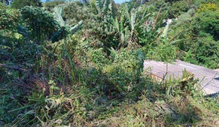 Terreno à venda, 1000 m² por R$ 115.000,00 - Chácara Califórnia - Embu-Guaçu/SP
