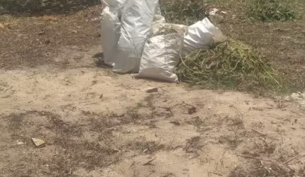 TERRENO EM ÁREA NOBRE E COMERCIAL

