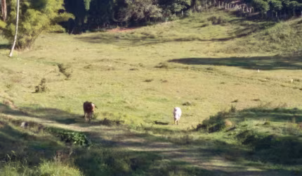 Chácara / sítio com 3 quartos à venda no Barrocão, Serra Negra  por R$ 2.400.000