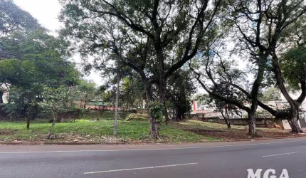 Terreno à venda, 1000 m² por R$ 1.100.000,00 - Centro - Foz do Iguaçu/PR