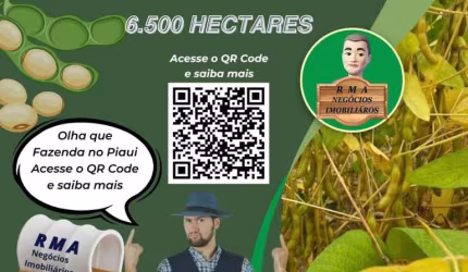 Fazenda para Venda em Altos, Área Rural