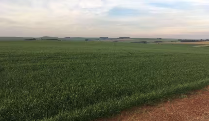 Sítio à venda em Marilândia do Sul, Centro, com 200 m²