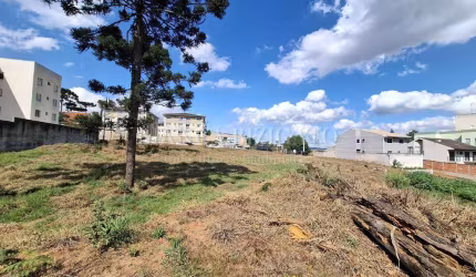 Terreno ZR2 Em Localização Privilegiada em Pinhais! Analisa Permuta!