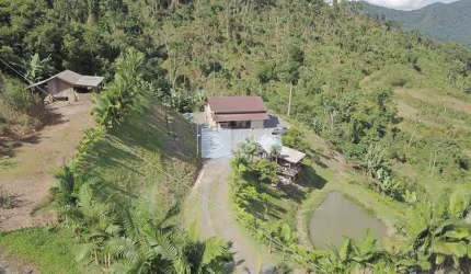 Chácara / sítio com 3 quartos à venda no Patrimônio, Massaranduba , 130 m2 por R$ 590.000