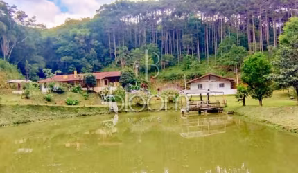 Chácara / sítio com 8 quartos à venda na Estrada do Cerne, S/N, Três Córregos, Campo Largo, 813000 m2 por R$ 1.990.000
