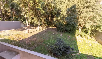 Terreno em condomínio fechado à venda na Rua José Brusamolin, 504, São Lourenço, Curitiba, 276 m2 por R$ 720.000