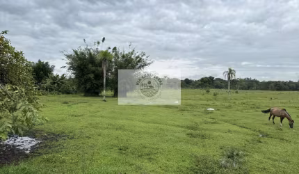 Terreno industrial, frente para o asfalto, poucos metros da BR-101, plano e limpo