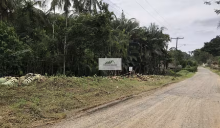 Terreno com 24.817 m² no bairro São Marcos, urbano, rua com projeto de asfaltamento