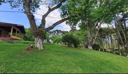 Sítio com 6 dormitórios à venda,144.000,00 m2, palmitalzinho, QUATRO BARRAS - PR