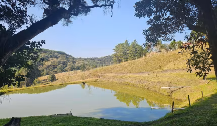 Chácara, 4 dormitórios , 24.870m  por R  649.900,00 - Area Rural - São José dos Pinhais PR