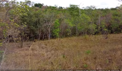 chácara de 2 hectares no loteamento colina verde