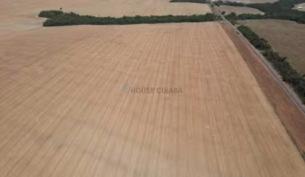 Fazenda à venda na Fazenda Sinop, 1, Zona Rural, Sinop por R$ 2.200.000