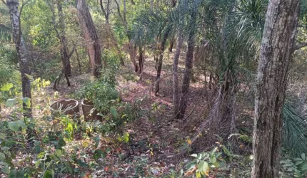 03 lotes juntos no loteamento Batec no coxipó do ouro a 22 km da fundação Brades