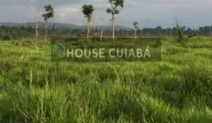 FAZENDA PARA VENDA NO PARÁ