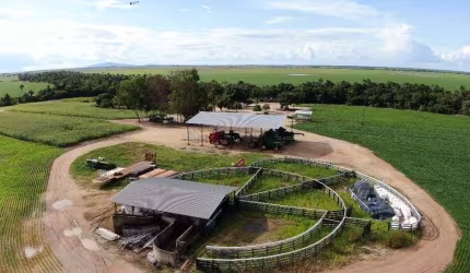 Fazenda à venda na Avenida Ville Roy, 17, Área Rural de Boa Vista, Boa Vista, 600 m2